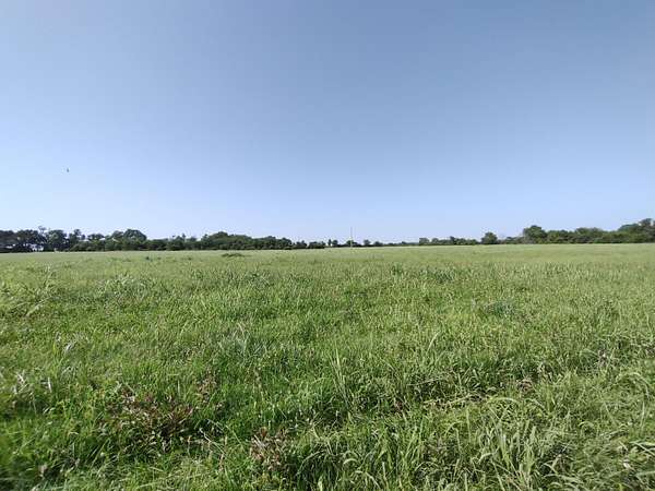 64.6 Acres of Land for Sale in Bolivar, Missouri