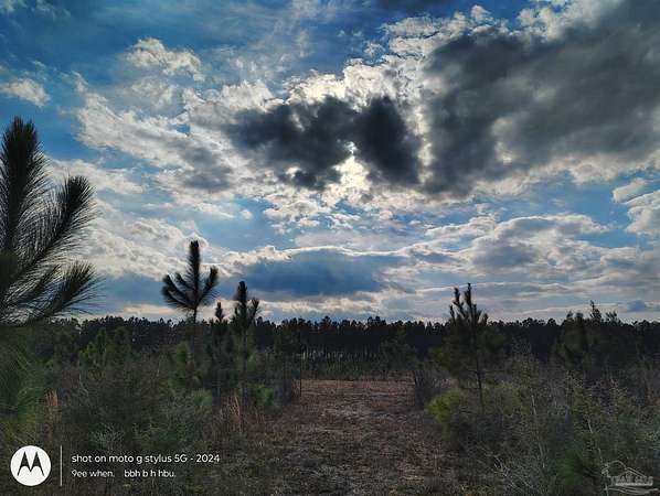 2.16 Acres of Residential Land for Sale in Jay, Florida