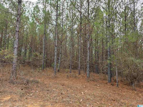 20 Acres of Recreational & Residential Land for Sale in Chelsea, Alabama