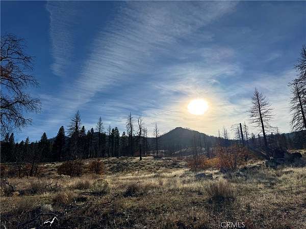 75.6 Acres of Land for Sale in Janesville, California