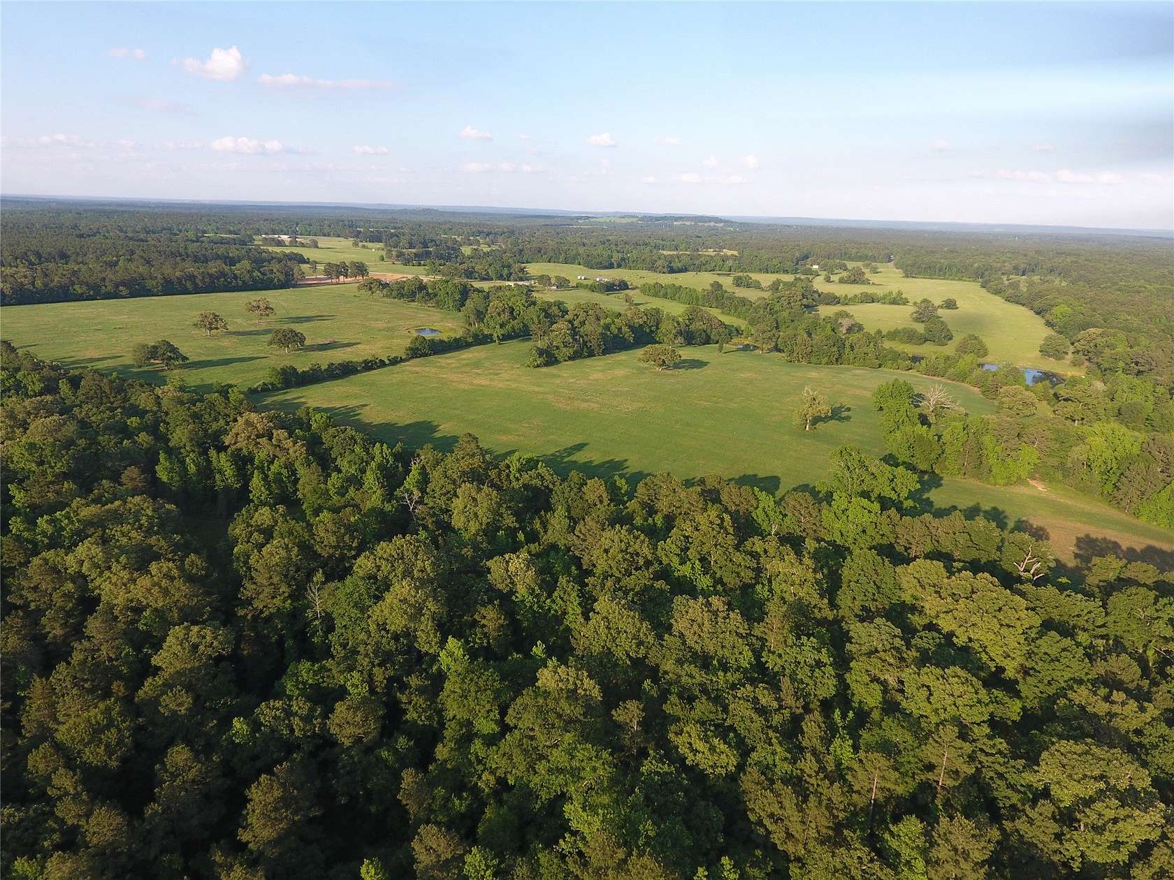 99 Acres of Land with Home for Sale in Palestine, Texas