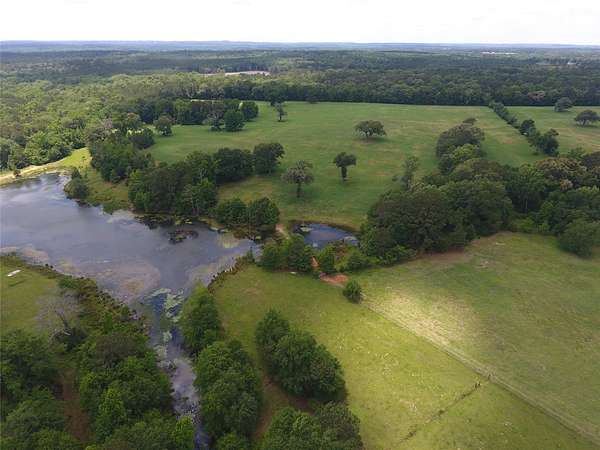 99 Acres of Land with Home for Sale in Palestine, Texas