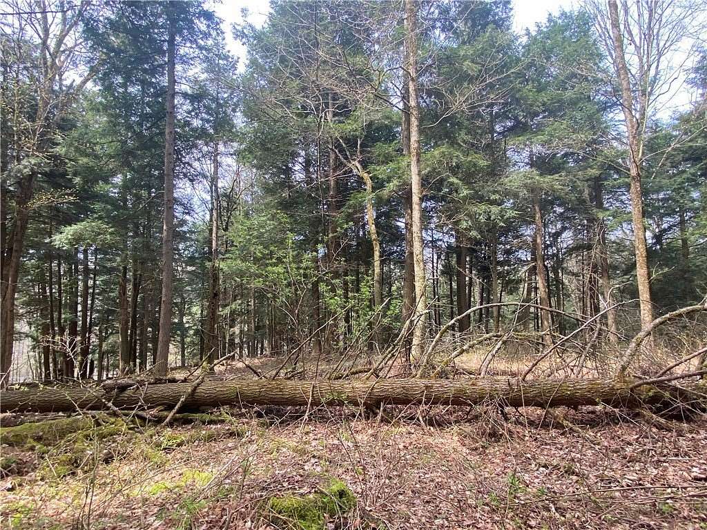 9 Acres of Residential Land for Sale in Hartwick, New York