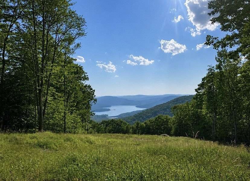 22 Acres of Recreational & Residential Land for Sale in Walton, New York