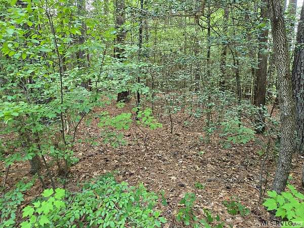 0.72 Acres of Residential Land for Sale in Bracey, Virginia