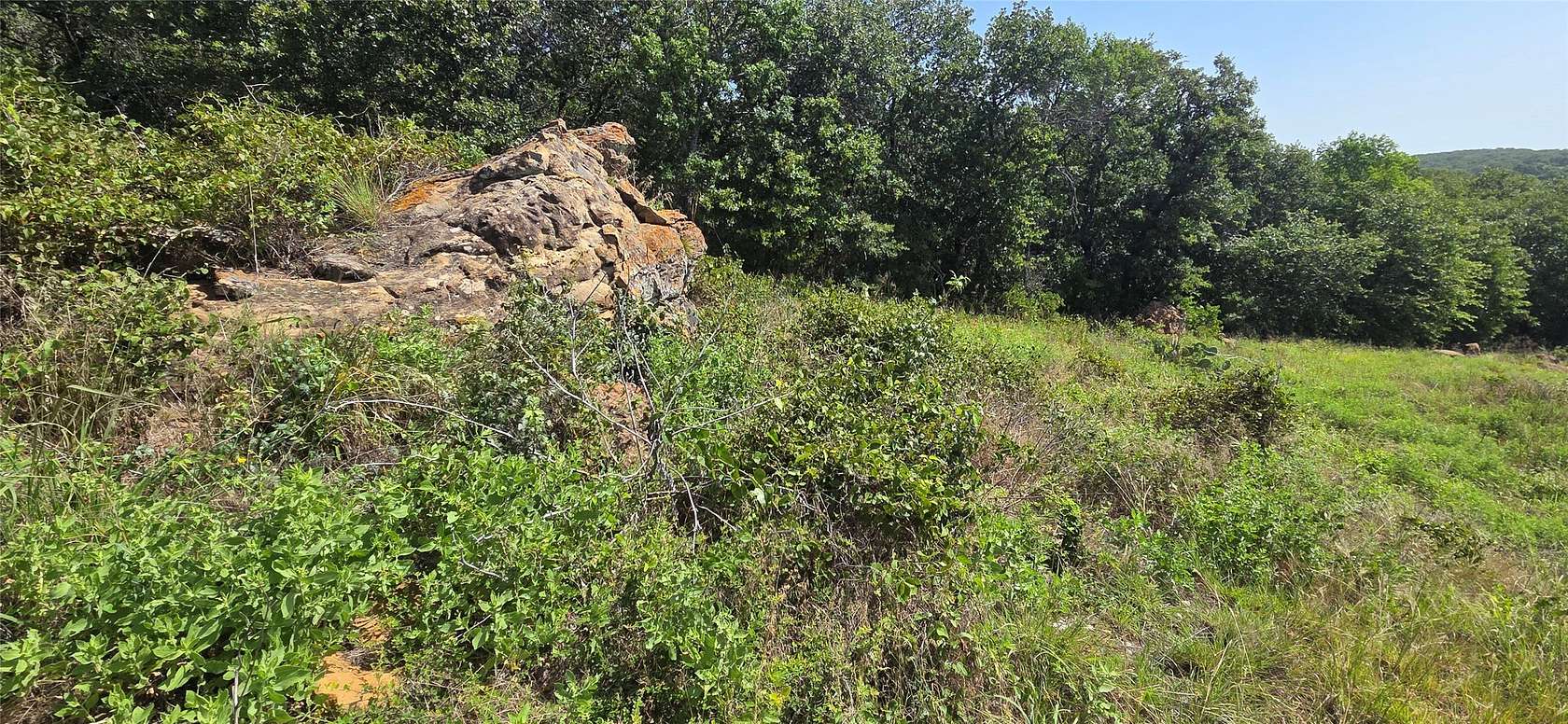 116 Acres of Land for Sale in Jacksboro, Texas
