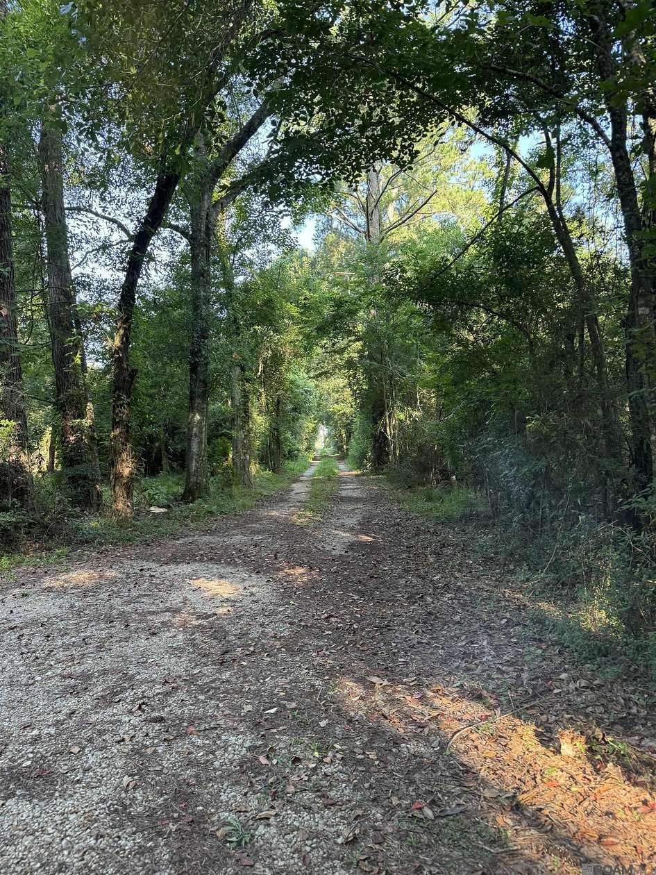 2.9 Acres of Land with Home for Sale in Prairieville, Louisiana