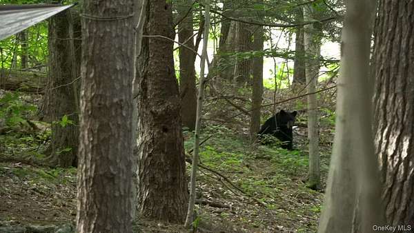 2.83 Acres of Land for Sale in Hyde Park, New York