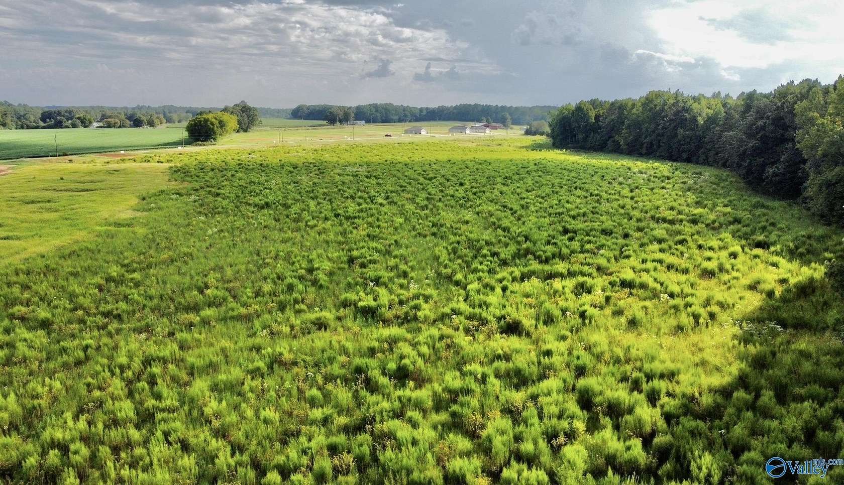 26 Acres of Recreational & Residential Land for Sale in Elkmont, Alabama