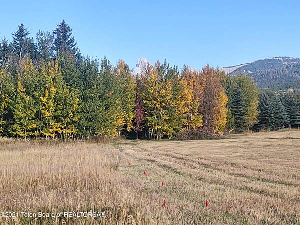 0.34 Acres of Residential Land for Sale in Alta, Wyoming