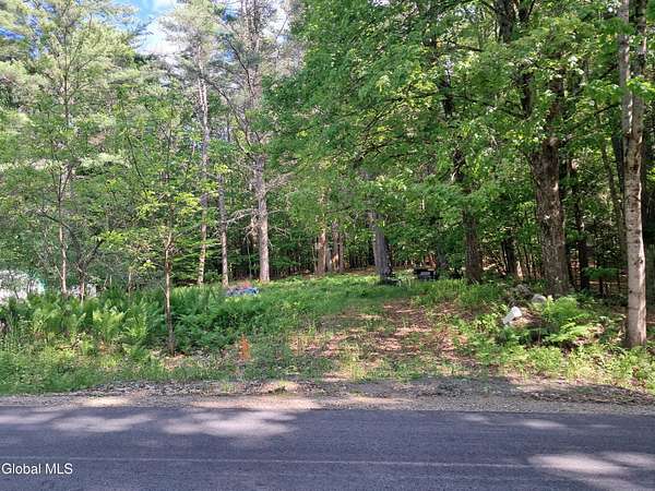 0.29 Acres of Land for Sale in Providence Town, New York