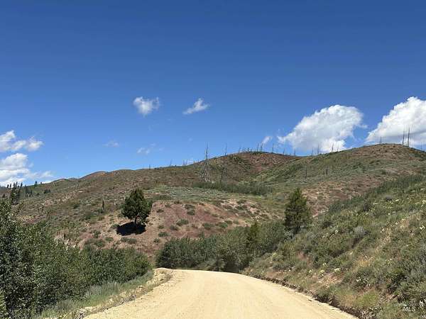 63 Acres of Recreational Land for Sale in Pine, Idaho
