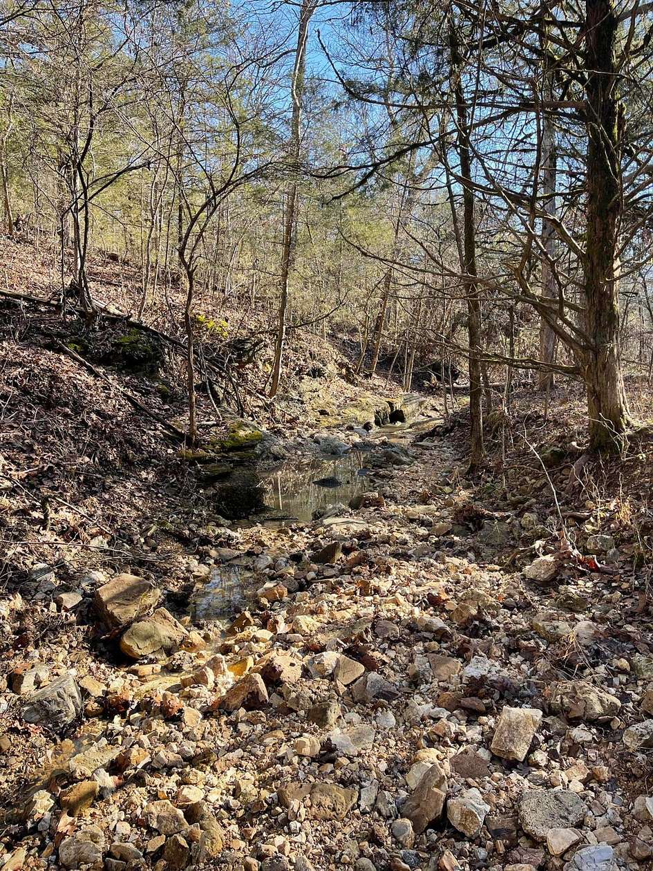 80 Acres of Land for Sale in Gainesville, Missouri