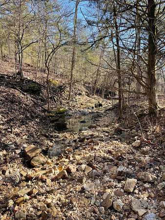 80 Acres of Land for Sale in Gainesville, Missouri
