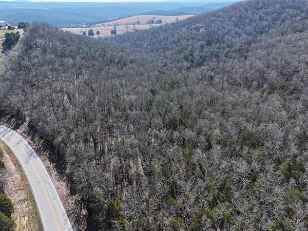 73 Acres of Land for Sale in Gainesville, Missouri