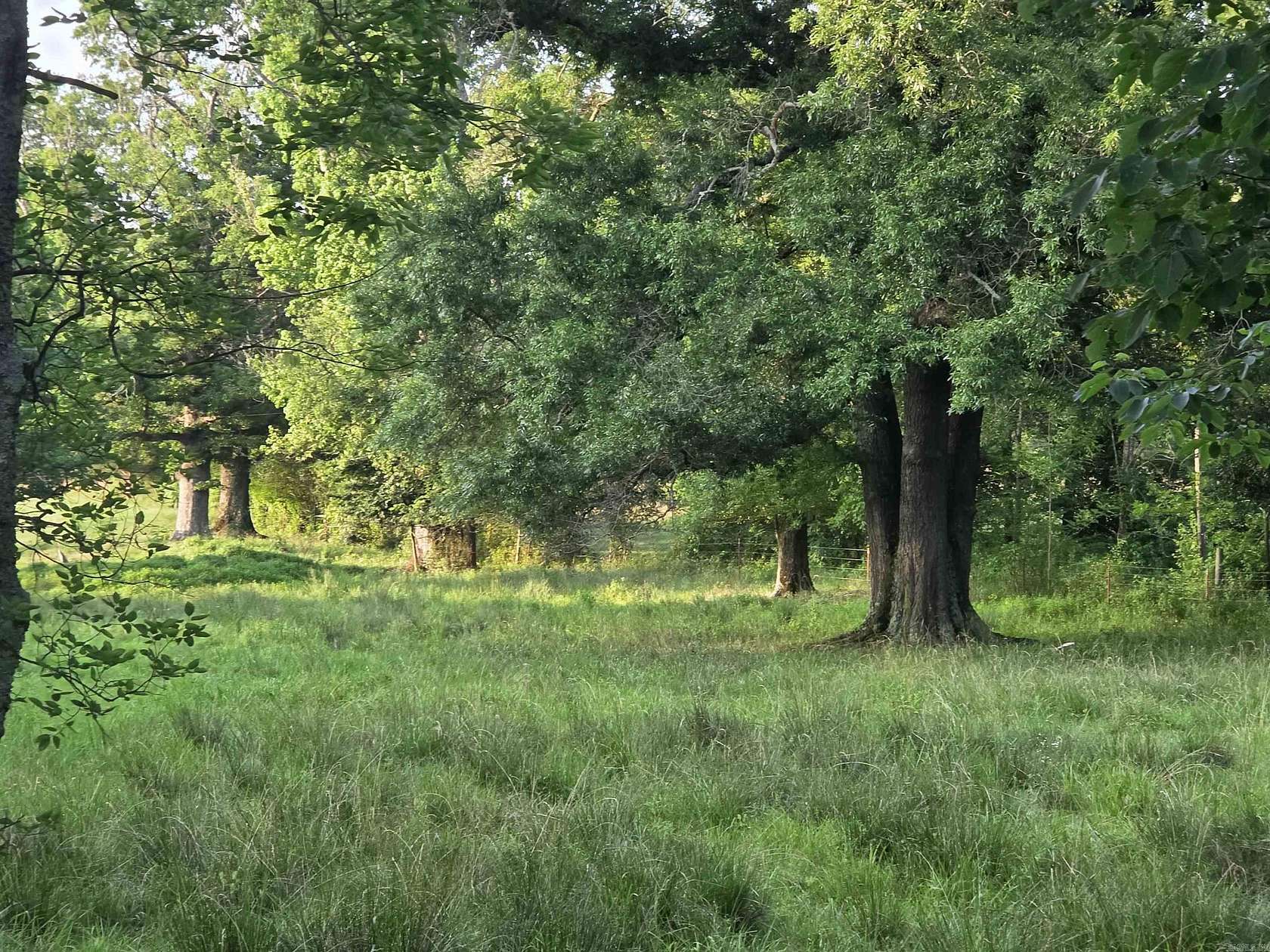 5.1 Acres of Land for Sale in Royal, Arkansas