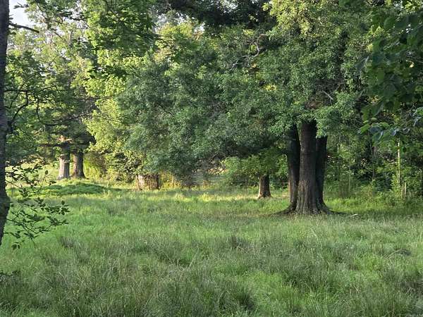 5.1 Acres of Land for Sale in Royal, Arkansas