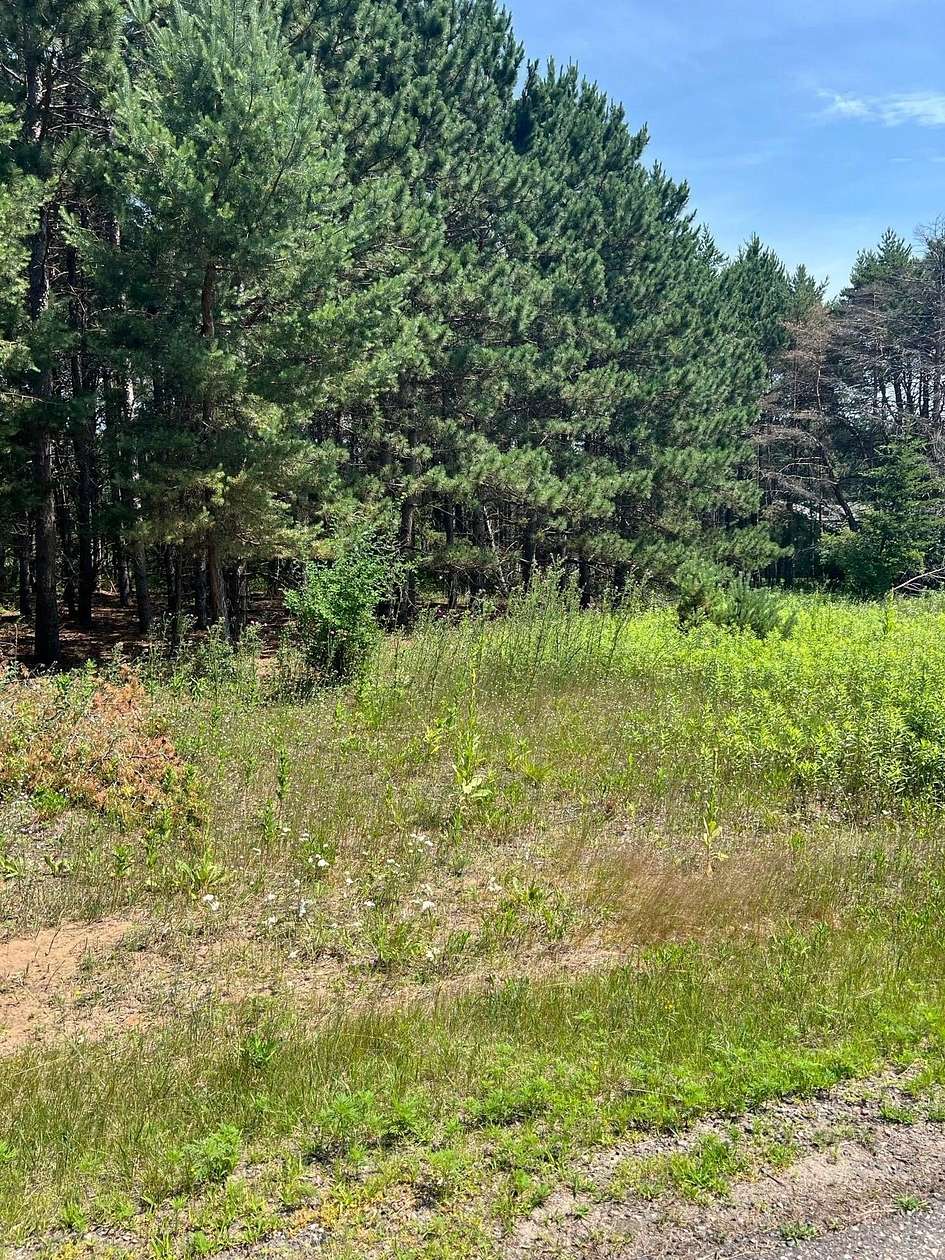 1.19 Acres of Residential Land for Sale in Little Falls, Minnesota