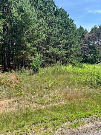 1.19 Acres of Residential Land for Sale in Little Falls, Minnesota