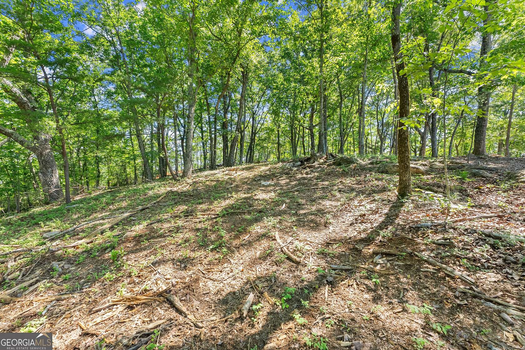 1.24 Acres of Residential Land for Sale in Cleveland, Georgia