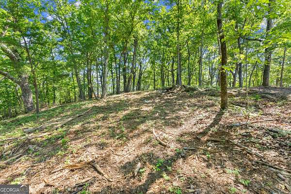 1.24 Acres of Residential Land for Sale in Cleveland, Georgia