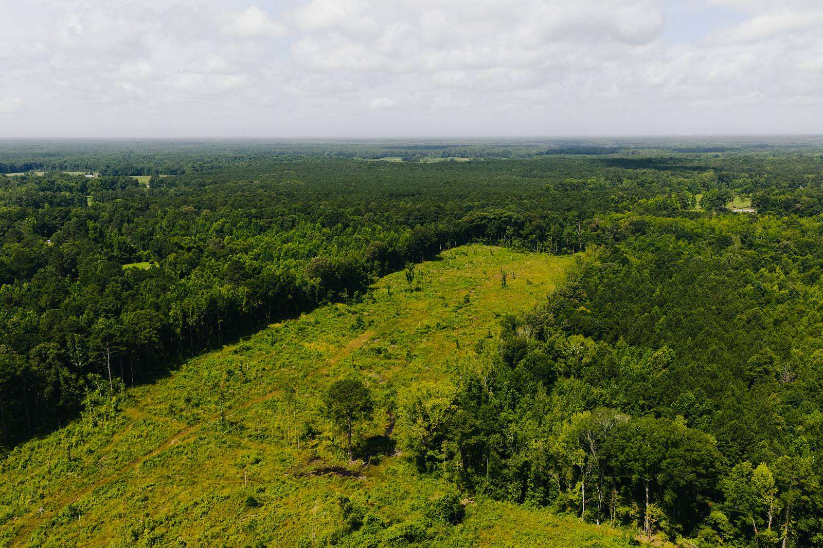 70 Acres of Recreational Land for Sale in Forest, Mississippi