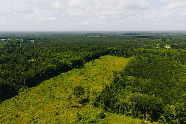 70 Acres of Recreational Land for Sale in Forest, Mississippi