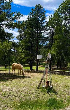 3 Acres of Land with Home for Sale in Elizabeth, Colorado