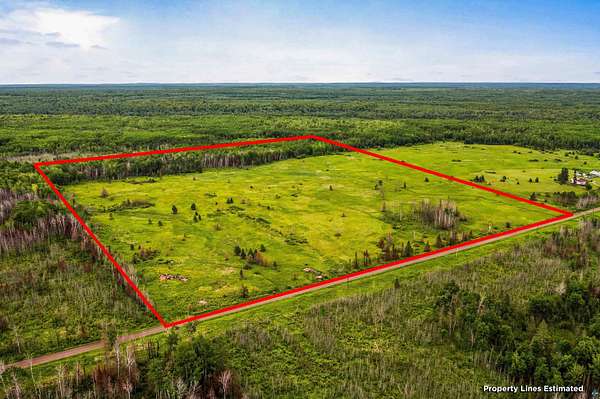 40 Acres of Land for Sale in Canyon, Minnesota