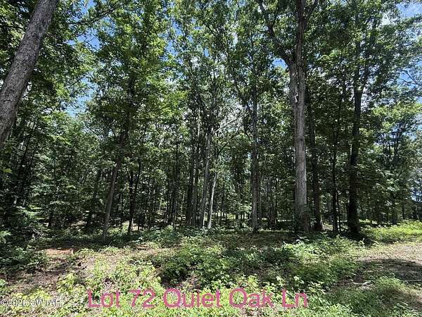 1.67 Acres of Residential Land for Sale in Camden, Tennessee