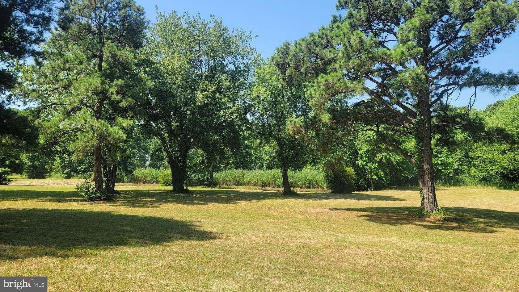 3.2 Acres of Residential Land for Sale in Grasonville, Maryland
