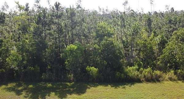 1.89 Acres of Residential Land for Sale in Wewahitchka, Florida