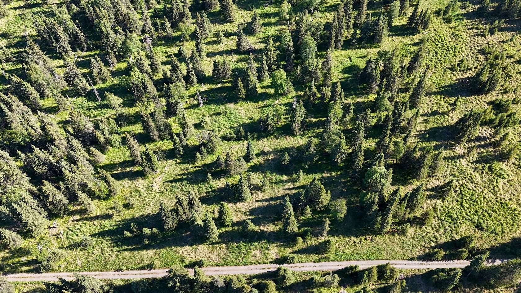 8.82 Acres of Land for Sale in Ninilchik, Alaska