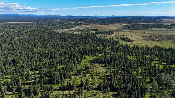 8.82 Acres of Land for Sale in Ninilchik, Alaska