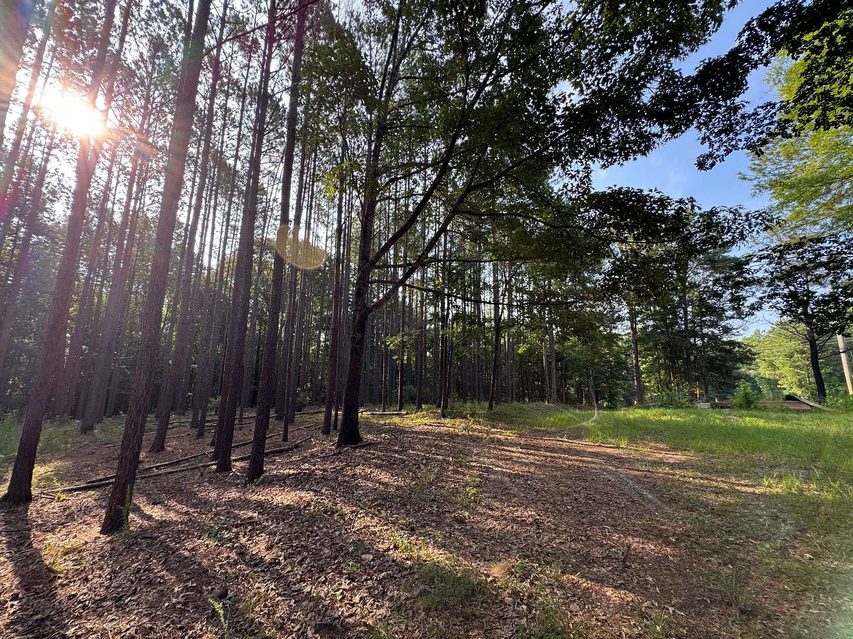 174 Acres of Recreational Land for Sale in Waverly, Alabama