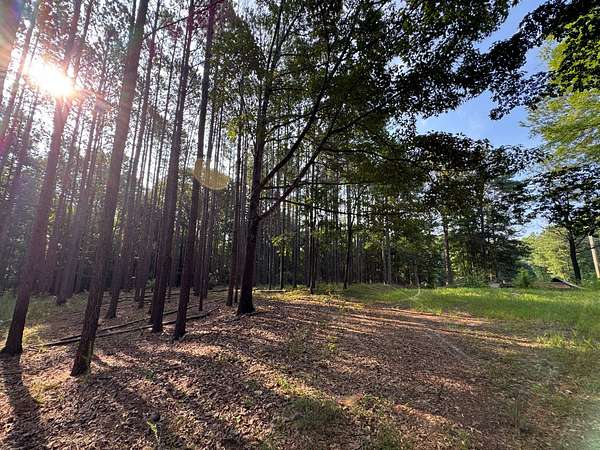 174 Acres of Recreational Land for Sale in Waverly, Alabama