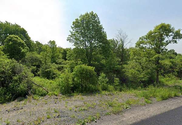 6.1 Acres of Residential Land for Sale in Theresa, New York