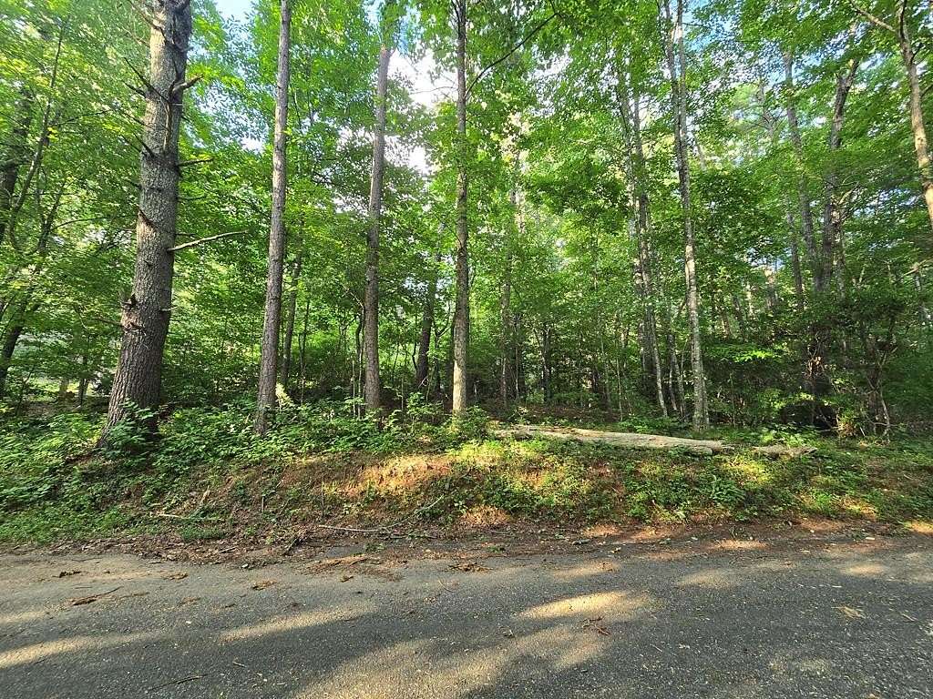 1 Acre of Residential Land for Sale in Epworth, Georgia