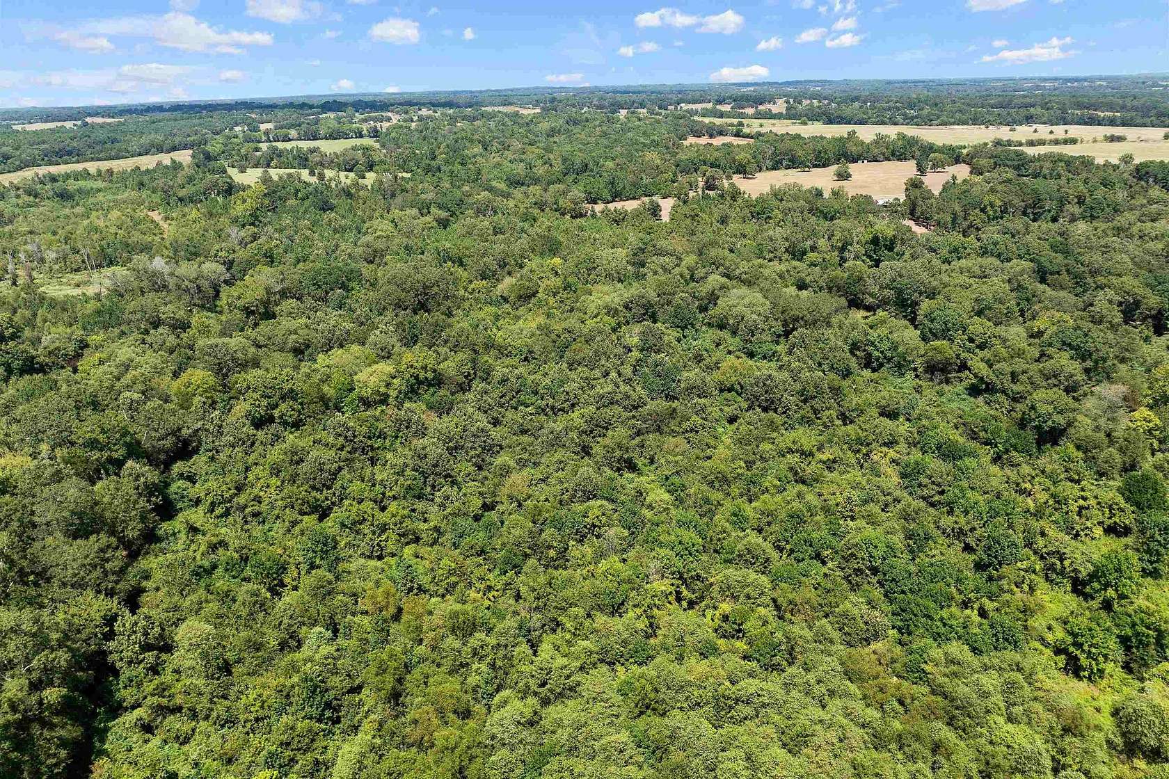 73.5 Acres of Land for Sale in Omaha, Texas