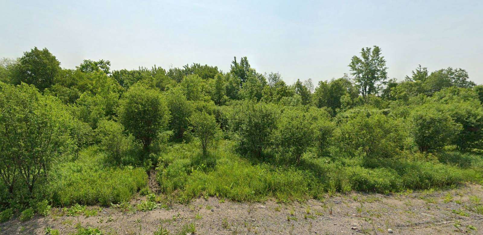 5.9 Acres of Residential Land for Sale in Theresa, New York