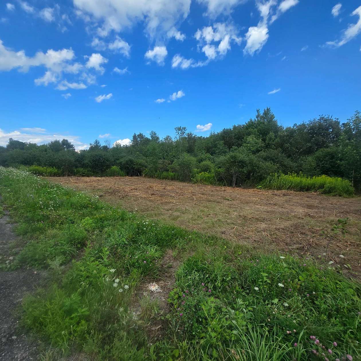 5.9 Acres of Residential Land for Sale in Theresa, New York