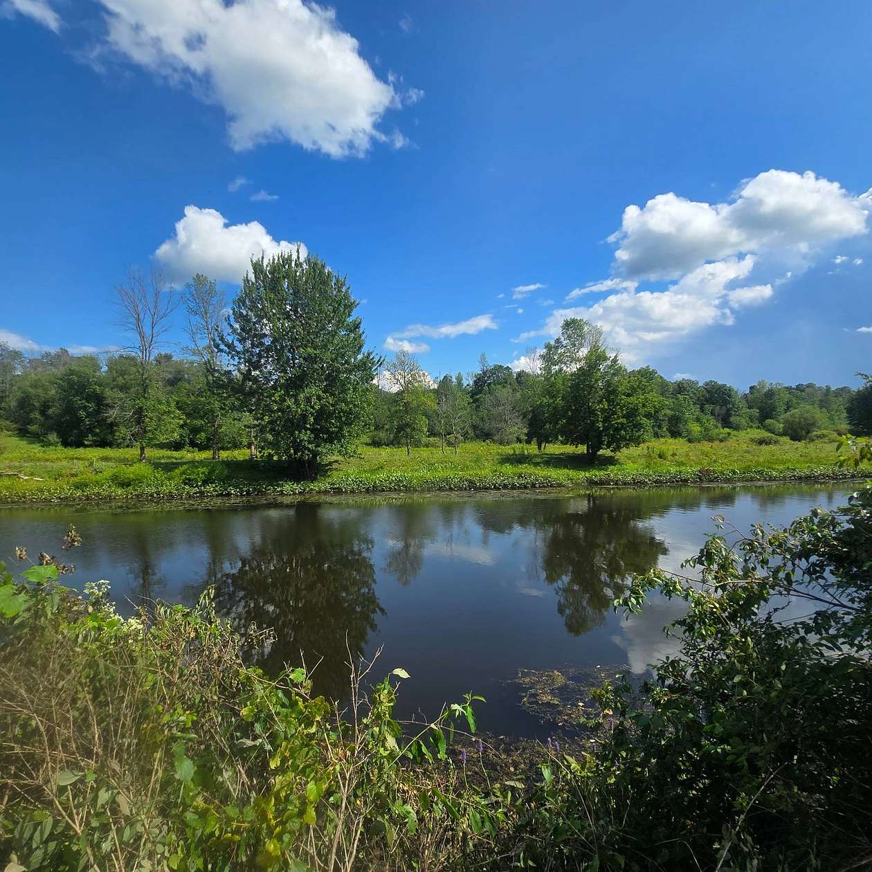 5.7 Acres of Residential Land for Sale in Theresa, New York