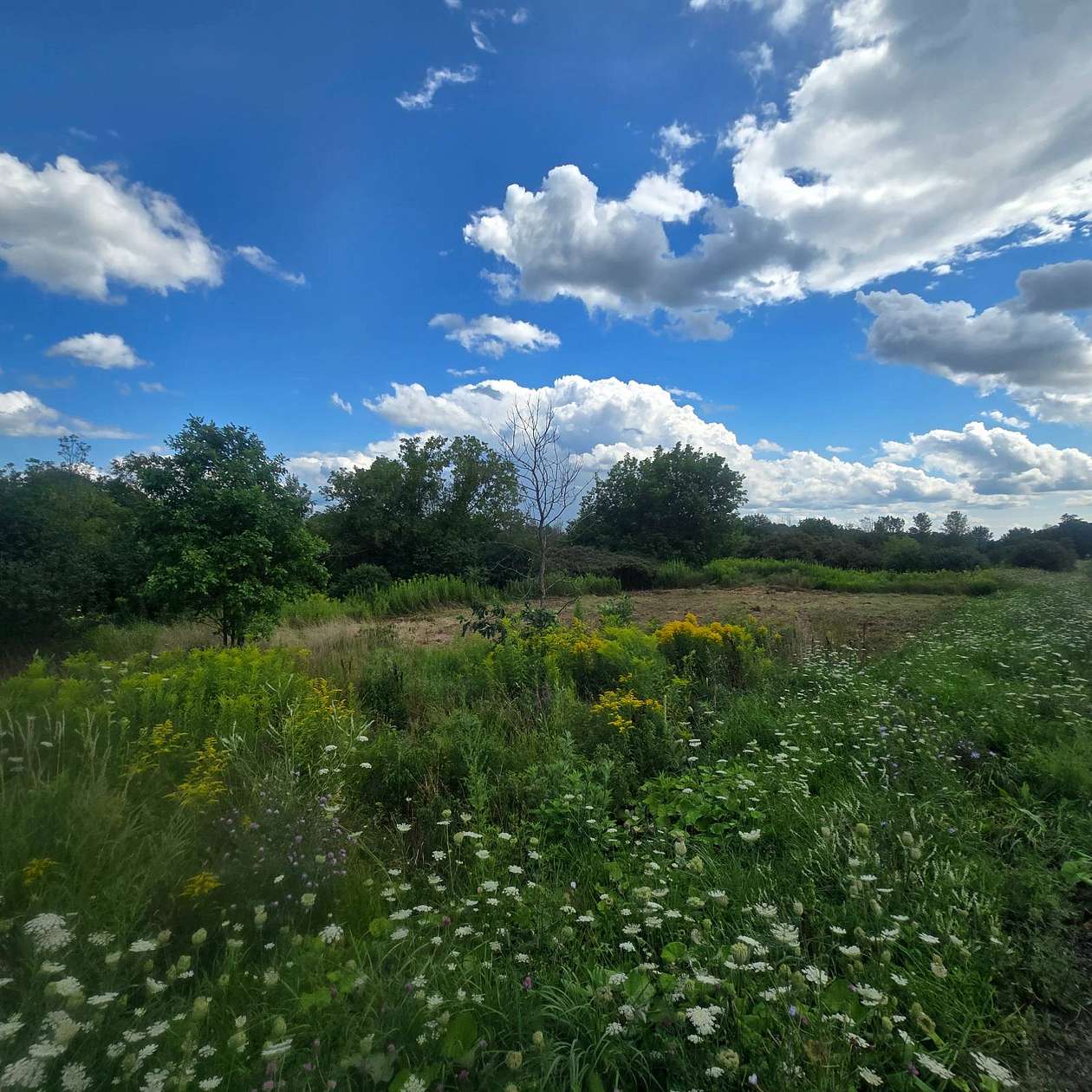 5.5 Acres of Residential Land for Sale in Theresa, New York