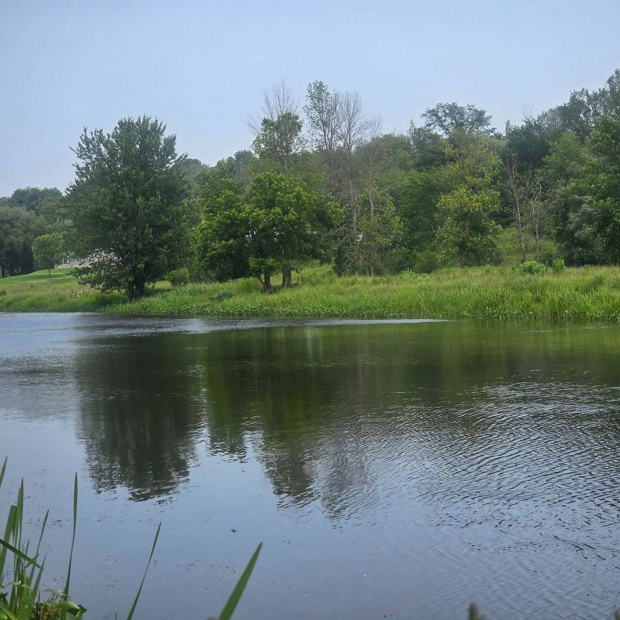 5.5 Acres of Residential Land for Sale in Theresa, New York
