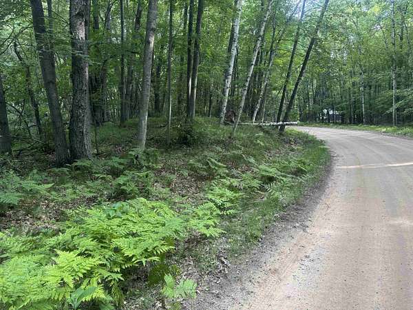1.64 Acres of Residential Land for Sale in Farwell, Michigan