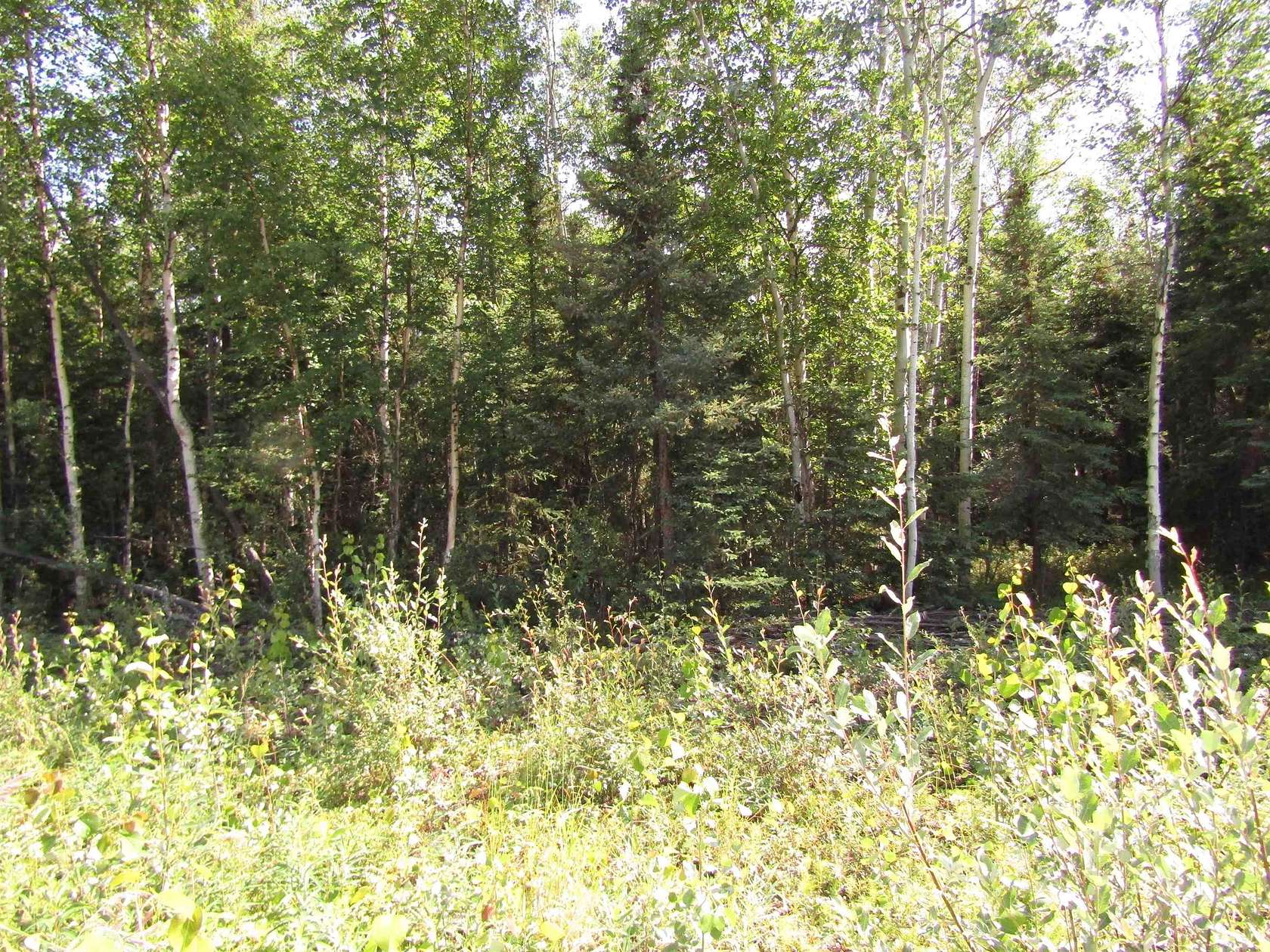2.35 Acres of Residential Land for Sale in Delta Junction, Alaska