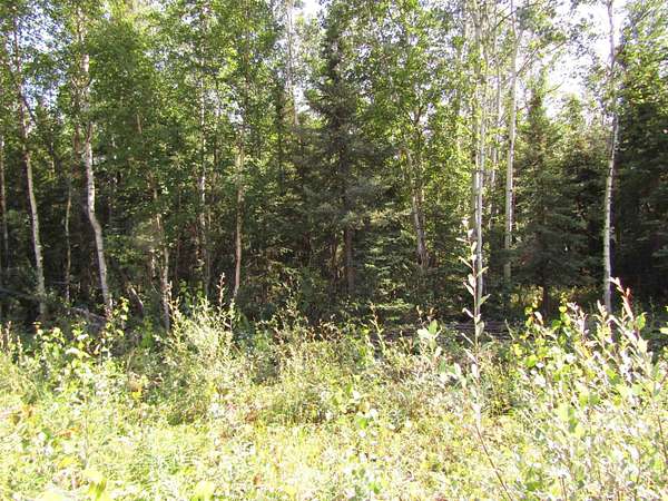 2.35 Acres of Residential Land for Sale in Delta Junction, Alaska