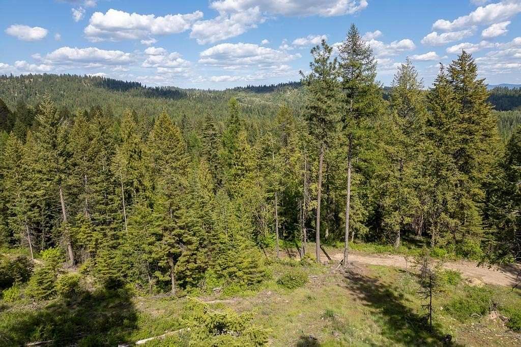 10 Acres of Recreational Land for Sale in Newport, Washington