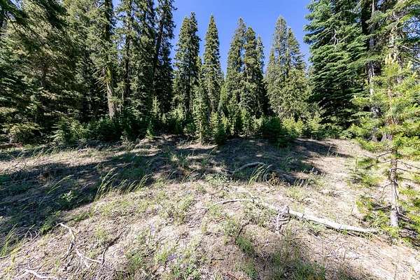 10 Acres of Residential Land for Sale in Little Norway, California