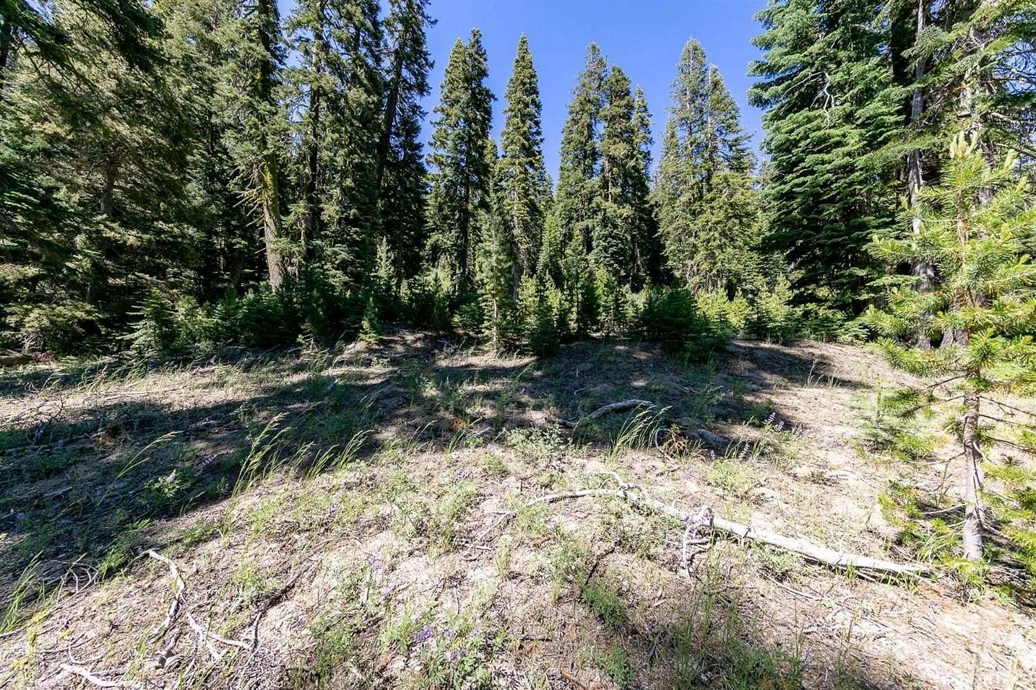 38.5 Acres of Recreational & Residential Land for Sale in Little Norway, California